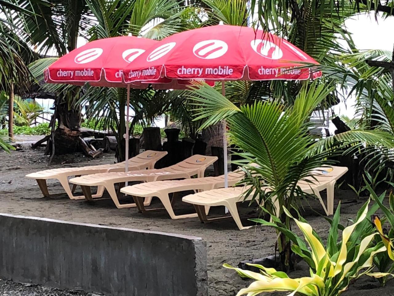 North Shore Surf Camp Hotell Baler Eksteriør bilde